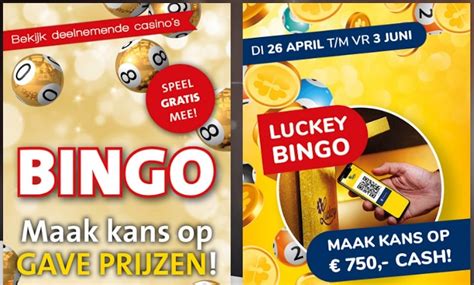 bingo jacks casino